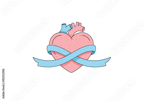 Anatomical Heart Shape Emblem With Blue Ribbon Wrapped Around For Health And Support Concepts