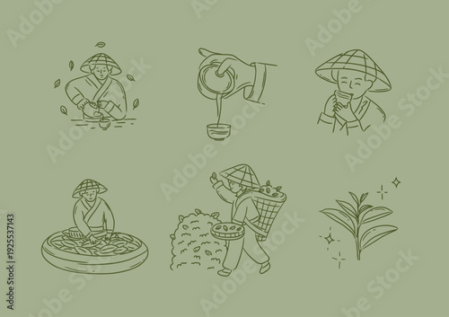 Tea collection with people harvesting prepare and drink hot beverage drawing in linear art style on light green background