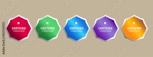 Premium Certificate Badge Hexagon Template Vector Illustration