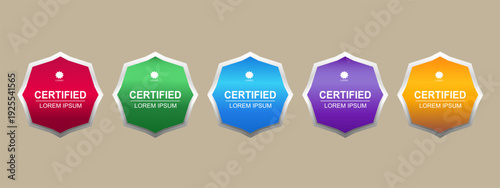 Premium Certificate Badge Hexagon Template Vector Illustration