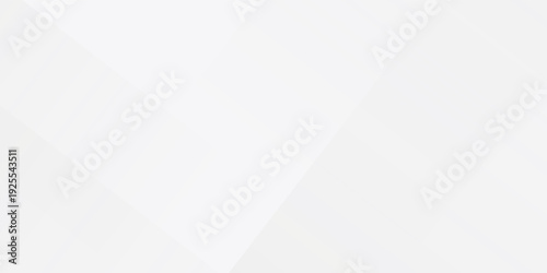 White abstract background. Silver effect texture. Light gray colour textur. Grey platinum pattern. Modern backdrop. Gradient delicate surface print. Design bg for business prints. Vector illustration