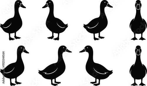 Duck silhouette collection, black duck bird shapes isolated, standing vector illustration set for farm animal logo design elements
