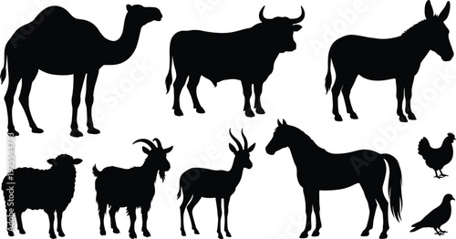 Farm animal silhouette set, camel cow donkey horse sheep goat rooster pigeon vector illustration livestock collection design element