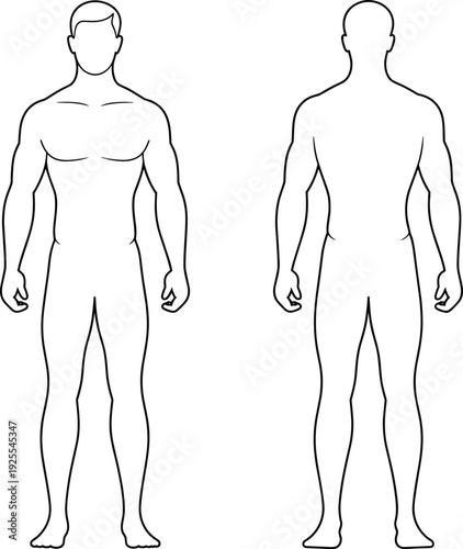 Outlined illustration of male human body showing front and back views with muscular definition, useful for anatomy studies, medical diagrams, fitness, and educational design