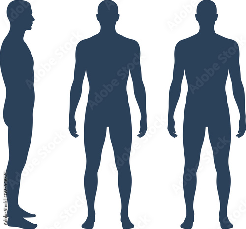 Silhouette illustration of male human figure in front, back, and side views, symbolizing anatomy, posture analysis, ergonomic design, medical study, and educational concept