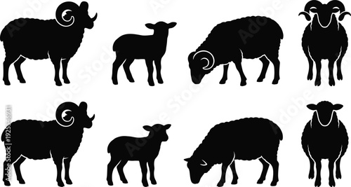 Ram and sheep silhouette set, lamb farm animal vector illustration isolated on white background livestock collection design