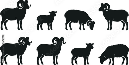 Ram and sheep silhouette collection, lamb farm animal vector illustration isolated on white background livestock design set