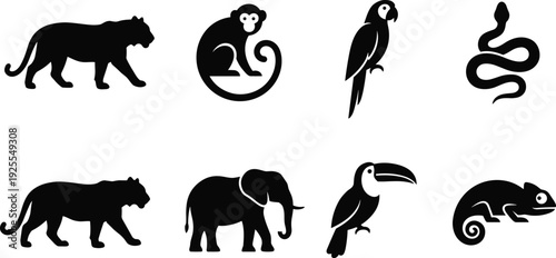 Wild animal silhouettes vector collection, panther monkey parrot snake elephant toucan chameleon icons, black wildlife illustration isolated set