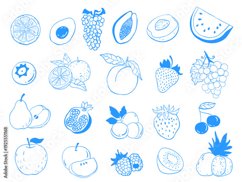 Vector illustration of a set of 21 elements of fruits and berries. Strawberry, kiwi, grape, peach, apple, cherry, pineapple, orange. Hand-drawn Mediterranean style blue linear food sketch. Linework do