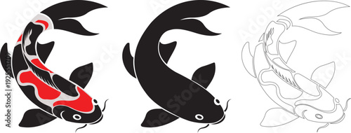 Japanese Koi Carp Fish Decorative Illustration