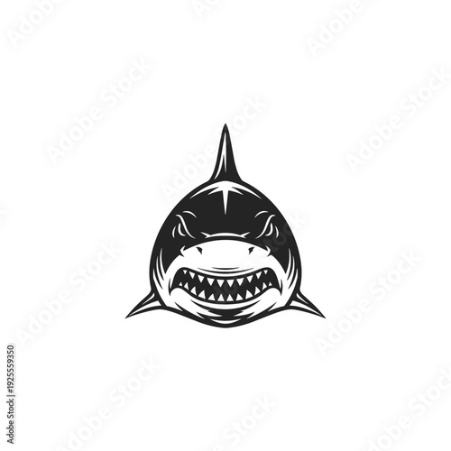 Aggressive shark head illustration with sharp teeth and open mouth