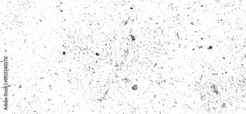 Abstract vector noise. Small particles of debris and dust. Distressed uneven background. Grunge with fine grains isolated on white background. Vector illustration. EPS10.