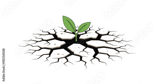 A small green plant sprout grows from the center of dry cracked white earth against a plain white background.