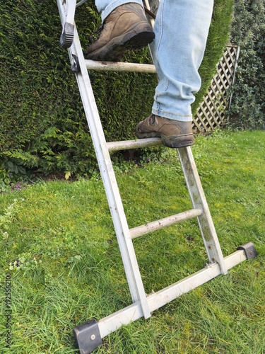 Closeup of man or woman adult, wearing work boots, climbing up or down the rungs of a metal ladder, outside in a garden or yard.