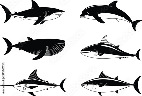 A comprehensive set of black and white silhouettes featuring diverse marine animals including a shark, dolphin, whale, tuna, and swordfish for aquatic nature themes.