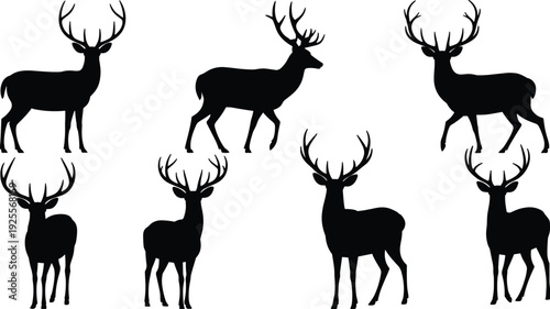 A comprehensive set of black silhouettes featuring wild deer and stags with large antlers in various standing and walking poses, ideal for forest wildlife.