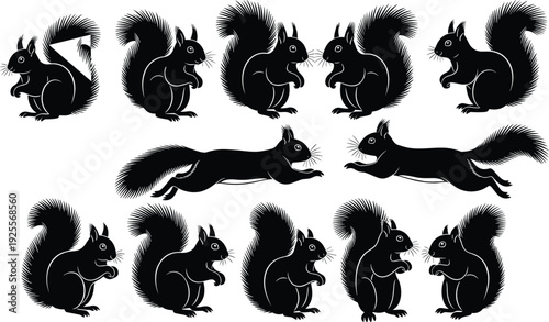 Squirrel silhouette collection, animal vector set, wildlife illustration design, nature art concept, leaping squirrel poses, black white squirrel artwork