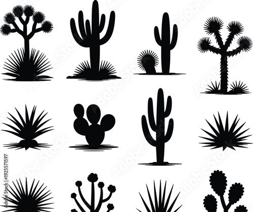 Black desert cactus silhouette collection, succulent plants and agave set, arid landscape botanical elements, isolated vector illustration