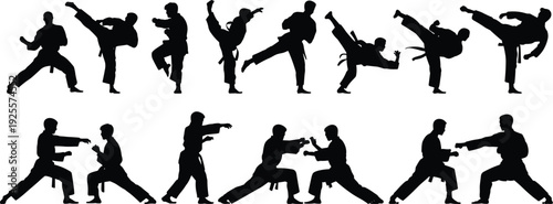 Martial arts fighter silhouettes set, karate taekwondo combat poses, self defense training concept, black vector illustration isolated white background