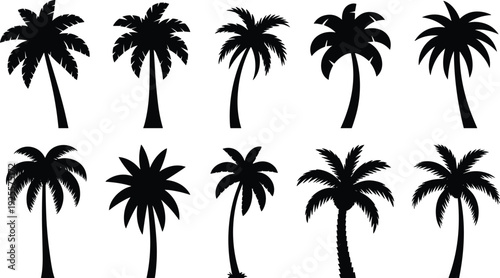 Palm tree silhouettes set, tropical coconut trees collection, summer beach nature elements, exotic plants isolated on white background