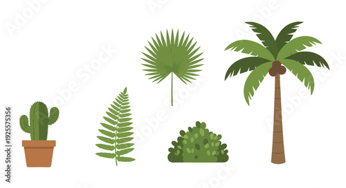 Flat design tropical and desert plants collection potted cactus fern fan palm leaf green bush and coconut tree.