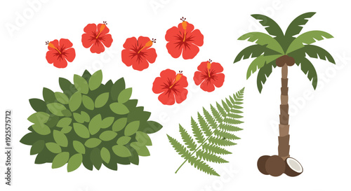 Stylized tropical flora vector set red hibiscus flowers coconut palm tree green fern and lush bush illustration.
