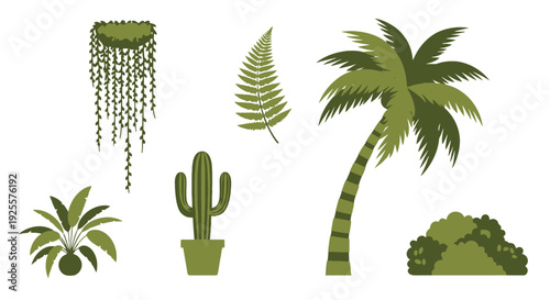 Diverse Green Foliage Vector Set Palm Tree Cactus Fern Hanging Vine and Potted Plants.
