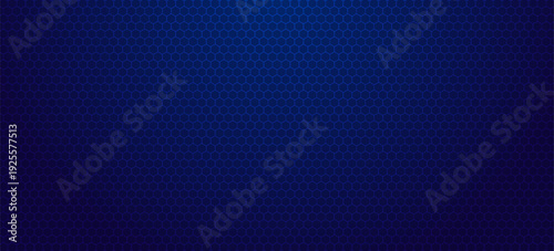 Abstract Digital Blue Hexagons Pattern Business or Science Research Background. Medical or Tech Innovation Online Webinar Presentation Event. Conference or Forum Vector Illustration Backdrop.