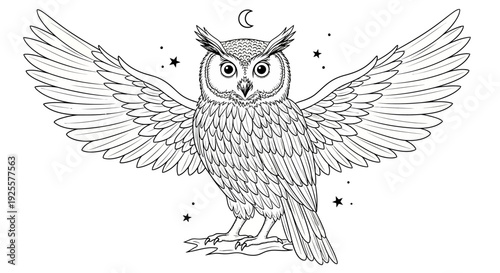 Detailed Line Art Owl Illustration with Spread Wings and Celestial Stars, Mystical Bird of Prey, Hand-Drawn Design for Coloring Book
