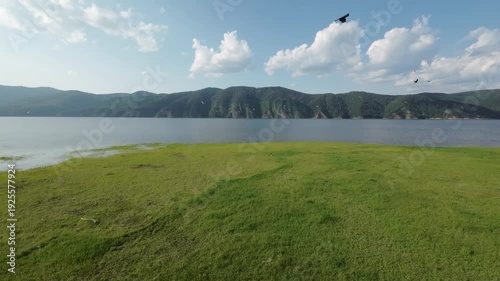 A lake in a national park in summer, birds flying over the water, filmed with a drone

