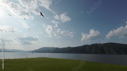 A lake in a national park in summer, birds flying over the water, filmed with a drone
