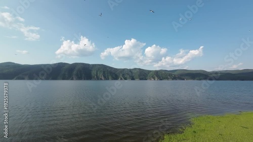 A lake in a national park in summer, birds flying over the water, filmed with a drone
