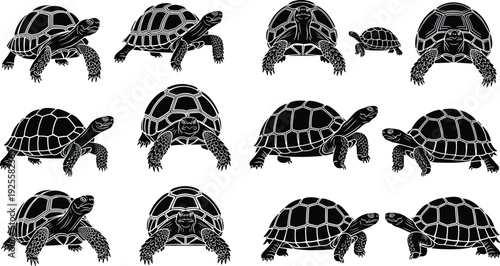 Turtle Silhouette Set, Tortoise Vector Icons, Reptile Nature Graphics, Slow Moving Animal Elements, Isolated Black Shell Shapes, Wildlife Conservation, Marine, Black