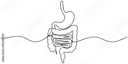 digestive continuous one line drawing, Continuous one line drawing of Human digestion. Single line drawing illustration of Human Digestive. one line Icon drawing, Abstract one line drawing
