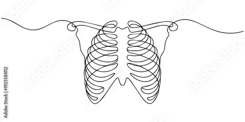 Continuous one line drawing of human rib cage. The ribs single line art vector illustration. Editable stroke, One line draws the anatomy of the chest. Human organ concept. Graphic vector illustration 
