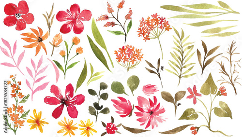 Warm Tone Wildflower Watercolor Elements, Hand Painted Botanical Floral Collection