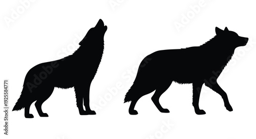 Two wolves howling in a dark striking silhouette