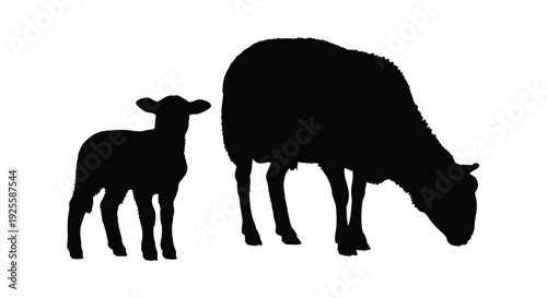 A mother sheep and lamb grazing in a field black silhouette
