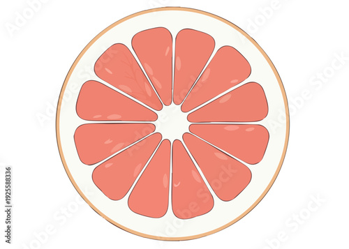 A vibrant illustration of a grapefruit slice.