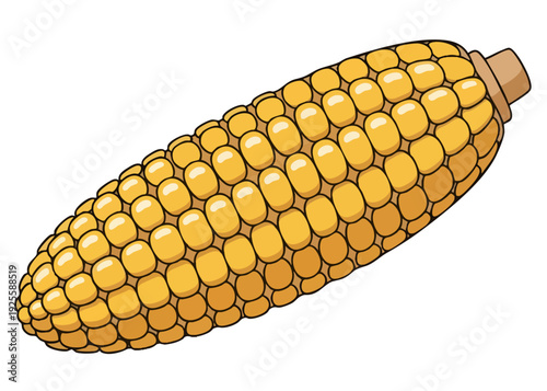 A cartoon illustration of an ear of corn.