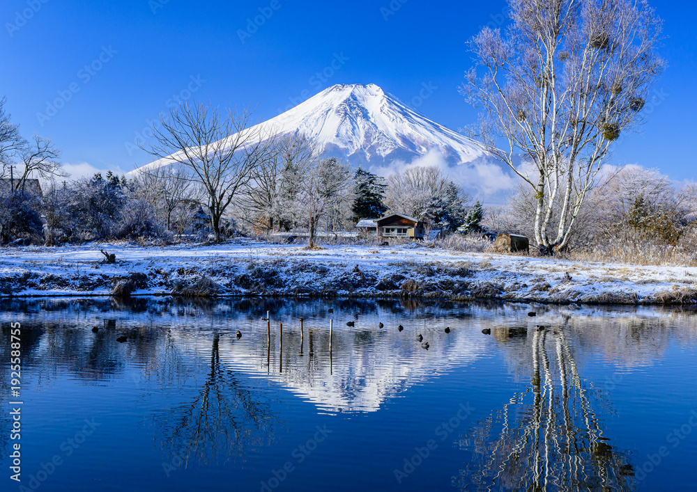 Fototapeta premium 富士山と雪景色