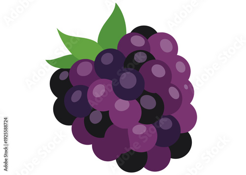 A vibrant cluster of purple blackberries.