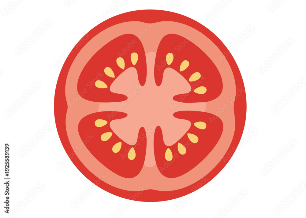 Obraz premium A cutaway illustration of a tomato.