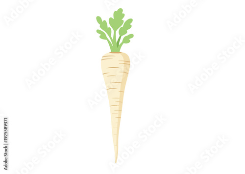 Simple illustration of a single parsnip root vegetable with green leaves.
