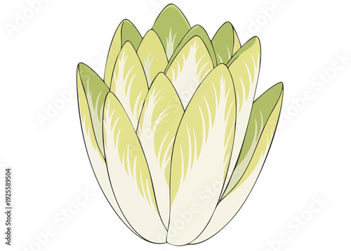 A simple line drawing of an artichoke with green and white leaves.