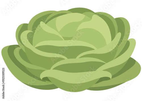 Green artichoke illustration on white background.