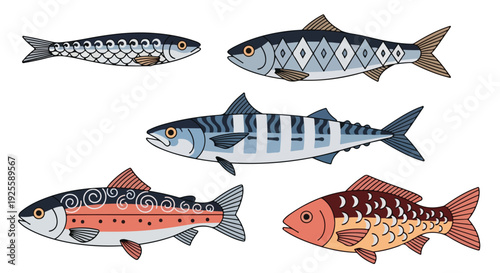 Illustration of five colorful fish with various patterns on a white background.