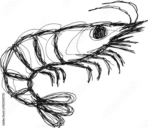 Abstract sketch of a shrimp with detailed antennae and segmented body outlines