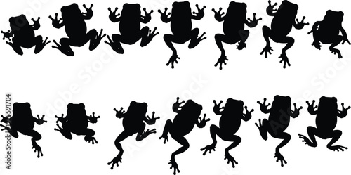 Frog silhouette collection, amphibian vector set, animal posture illustration, nature art design, frog movement poses, wildlife concept, black white style