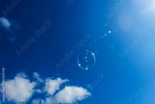 Single soap bubble against the sunlight